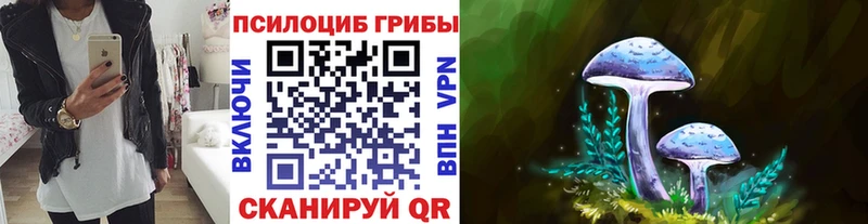 МЕГА ссылки  Иноземцево  Псилоцибиновые грибы Psilocybe  купить  цена 